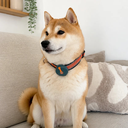 UBI-TAIL
